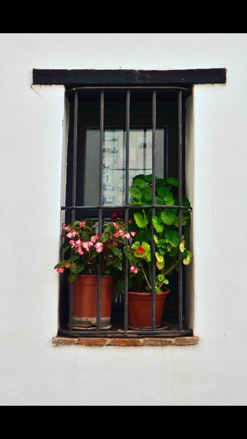 Casaspa7